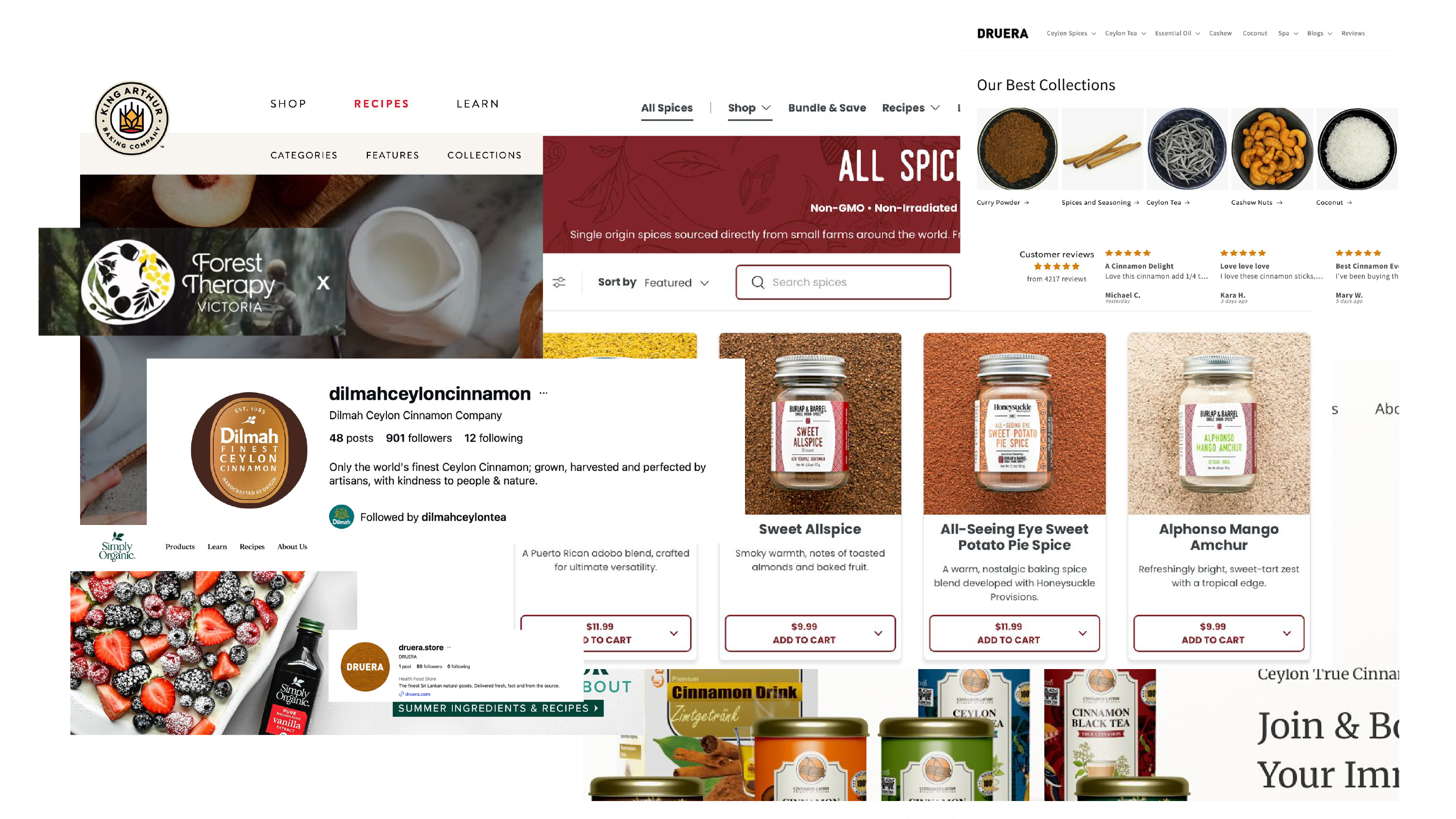 Competitor and inspiration research: Dilmah, Burlap and Barrel, King Arthur Baking, Druera and other spice and tea export brands